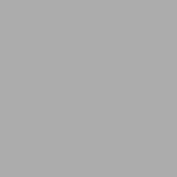 Gris Alu 9006